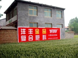 柳州如何让墙体广告展现最大化效果