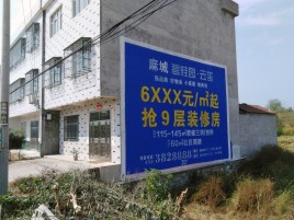 柳州墙体广告质量分析