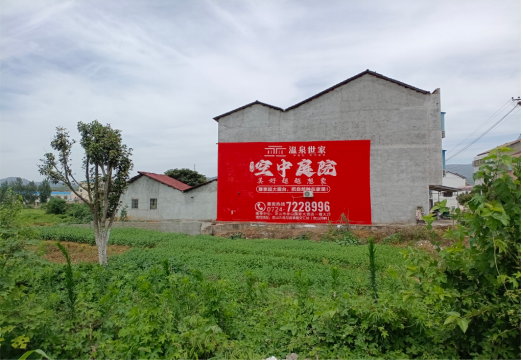 柳州做墙体广告的意义